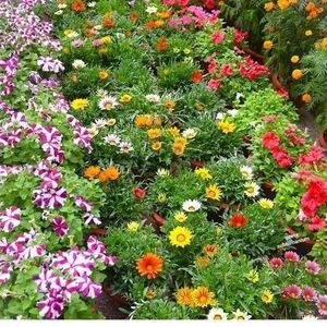 Meet your Posher, Isa